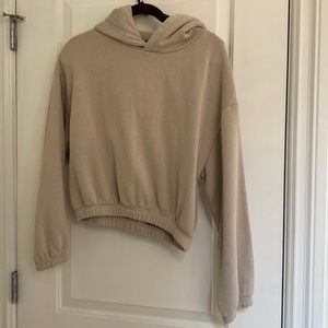 Zara Cropped Hoodie
